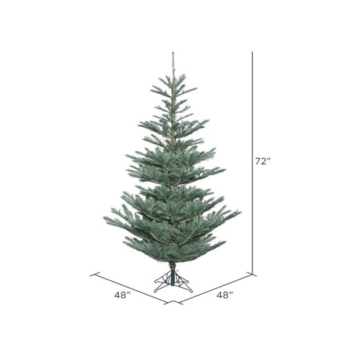G160460 Alberta Blue Spruce Christmas Tree