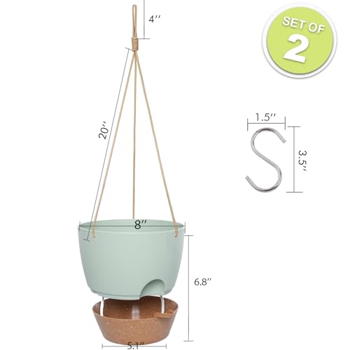 8 inch Hanging Planters (2 Count)