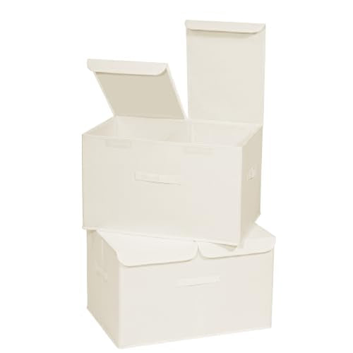 2 Pack Large Storage Boxes with Lids and Handles (2 Count)