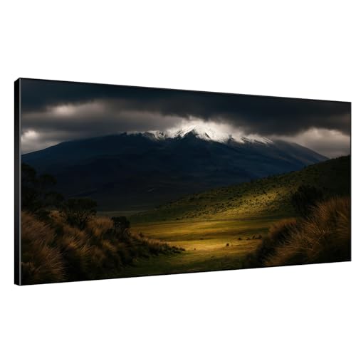 36"x72" Extra Large Framed Wall Art Majestic Snow
