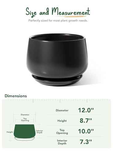 Ceramic Planter