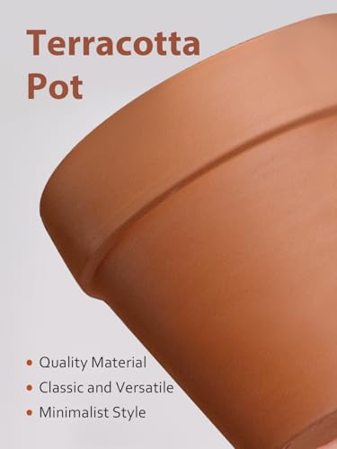 12 Inch Terracotta Pot with Saucer