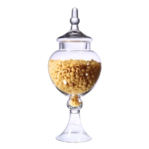 Large Glass Apothecary Jars with Lid