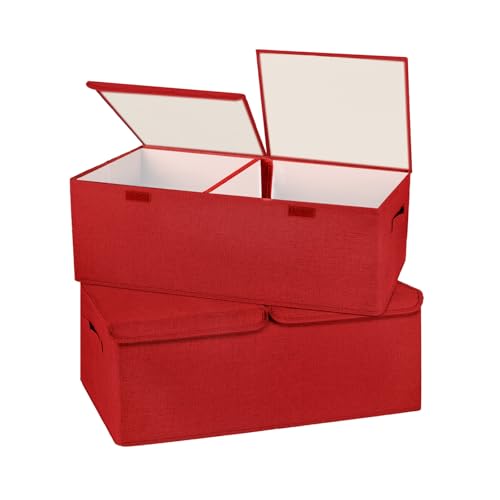 2 Pack Large Storage Boxes with Lids and Handles (2 Count)