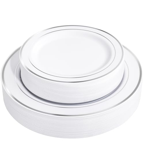 60PCS Silver Plastic Plates (60 Count)
