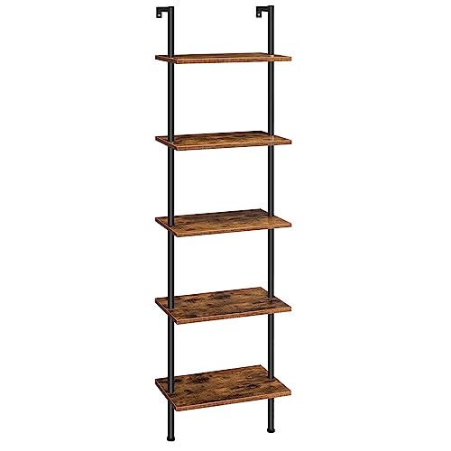 DIY Ladder Shelf