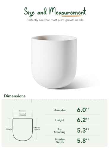 6 Inch Plant Pot