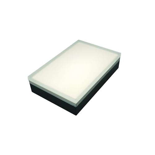 Paver Light 6x9 Inch