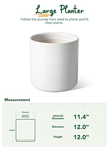 12 Inch Pot for Plants