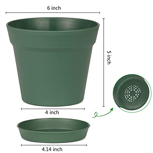 6 Inch Plastic Plant Pots with Drainage Holes and Saucers (15 Count)