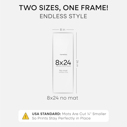 8x24 Silver Panoramic Picture Frame