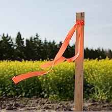 4 Ft. Garden and Sign Post Stakes (25 Count)