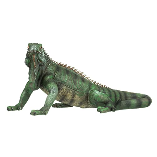 Iggy The Iguana Indoor
