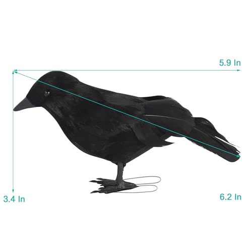 Halloween Birds (12 Count)