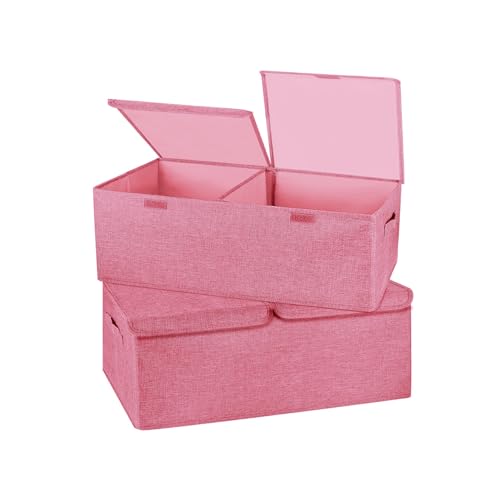 2 Pack Large Storage Boxes with Lids and Handles (2 Count)