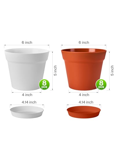 6 Inch Plastic Plant Pots with Drainage Holes and Trays (16 Count)