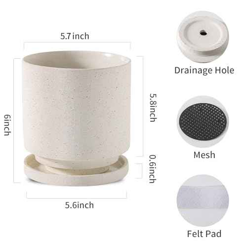 Ceramic Plant Pot Drainage Hole & Saucer for Indoor Plants