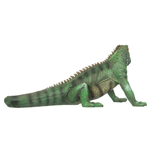 Iggy The Iguana Indoor