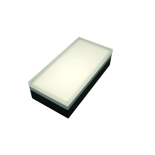 Paver Light 4x8 Inch