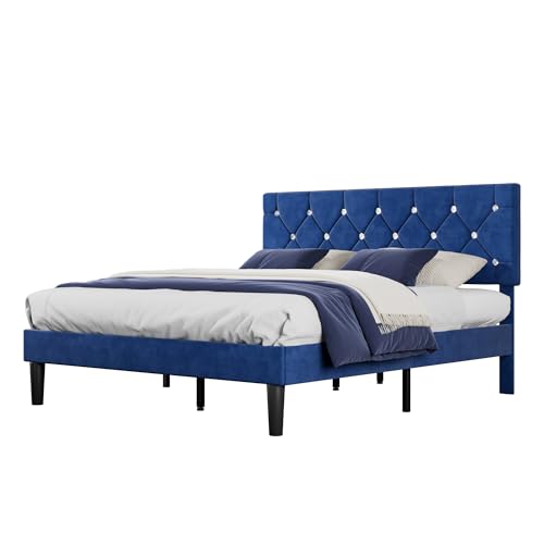 Queen Size Bed Frame
