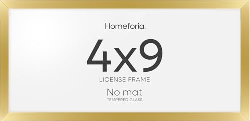 4x9 Gold Business License Frame (3 Count)