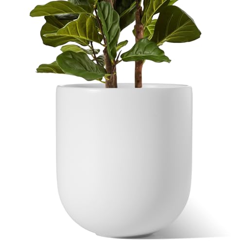 12 Inch Pots for Plants
