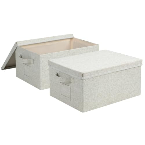 Storage Bins With Lids Closet Organizer Cabinet Box For Clothes (2 Count)