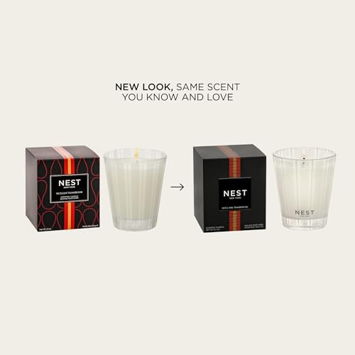 Scented Classic Candle (8.1 Ounce)