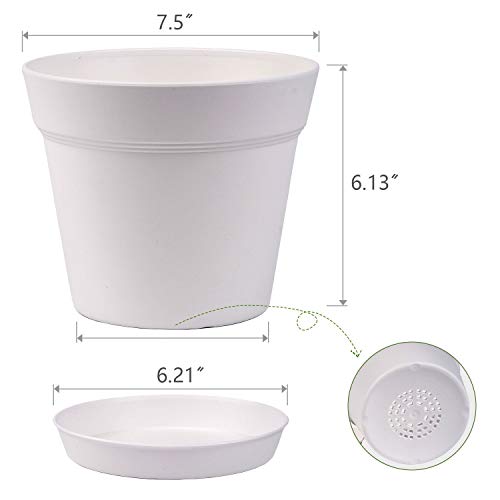 7.5 Inch Plastic Flower Pots with Drainage Holes and Trays (8 Count)