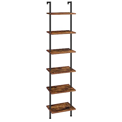 DIY Ladder Shelf
