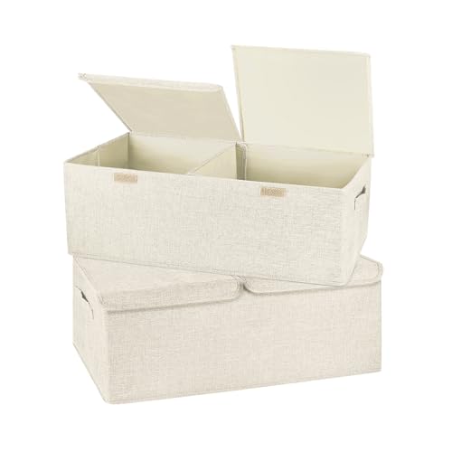 2 Pack Large Storage Boxes with Lids and Handles (2 Count)