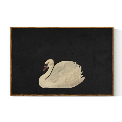 Framed Swan Art Wall Decorations Canvas Wall Art Prints
