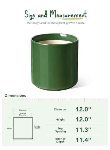 12 Inch Pot for Plants
