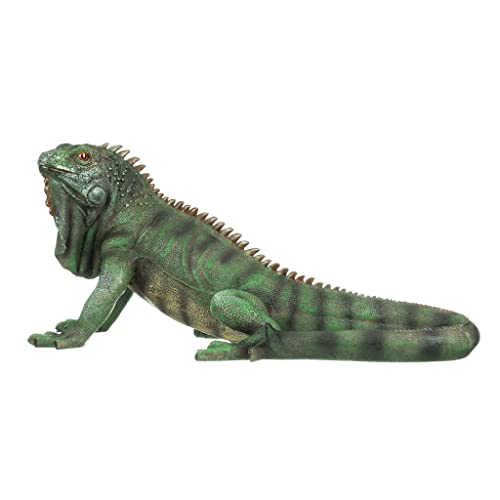 Iggy The Iguana Indoor
