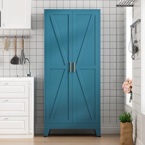 Home Farmhouse Storage Cabinet with 2 Barn Door