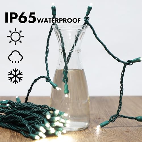 1200LED 24pk of 50L (1200 Count)
