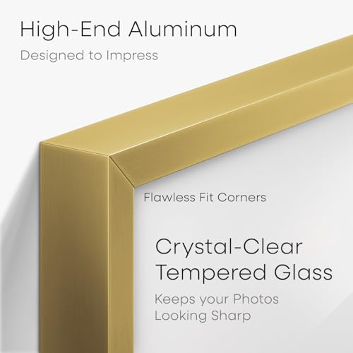 5.5x8.5 Gold Business License Frame (2 Count)