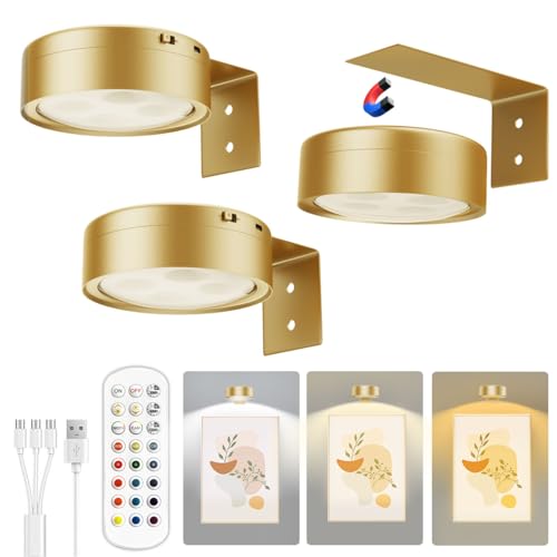 Picture Lights for Wall
