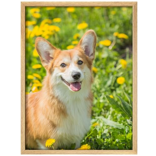 Custom Framed Poster Prints with Your Any Photos