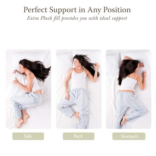 300 Thread Count Cotton King Pillow (2 Count)