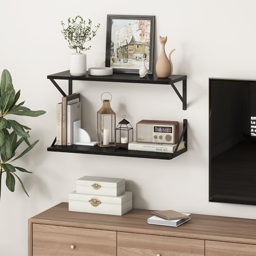 Deep Black Floating Shelves for Wall (2 Count)