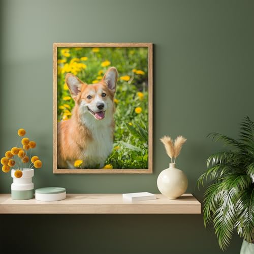 Custom Framed Poster Prints with Your Any Photos