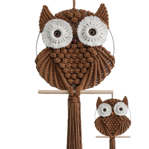 Owl Macrame Wall Hanging