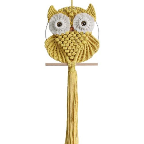 Owl Macrame Wall Hanging