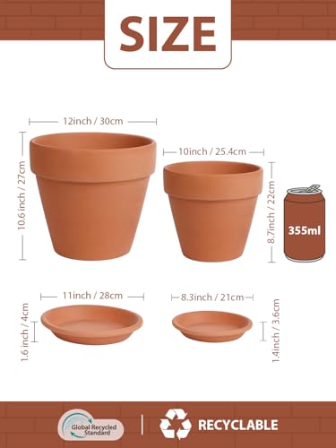 Terracotta Pot with Saucer 10&12 Inch (2 Count)