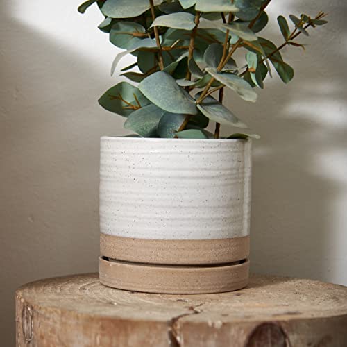 6 Inch Plant Pots