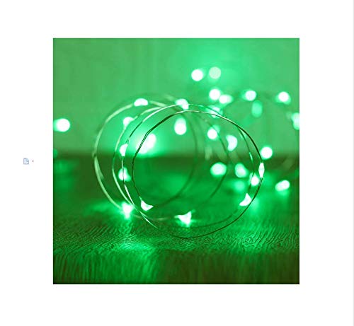 Waterproof LED Fairy String Lights (10 Foot)