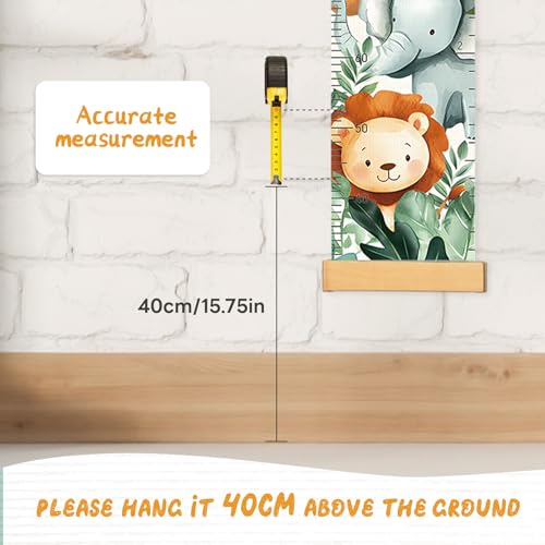 Height Chart for Kids