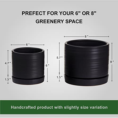6 + 8 Inch Plant Pots