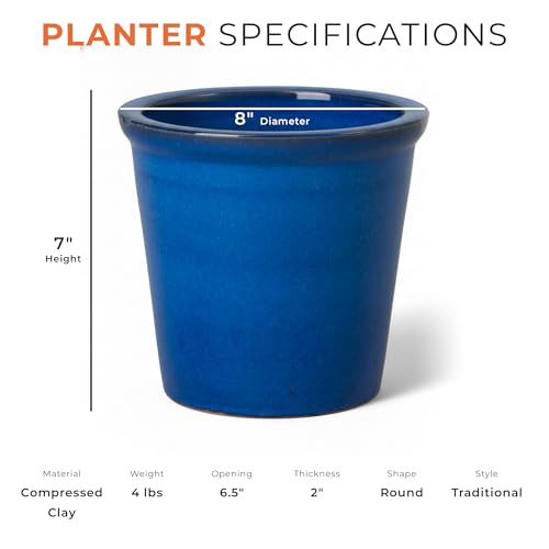 Emissary 8 in. Ceramic Plant Pot with Drainage Hole